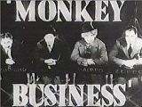 Monkey Business Promo